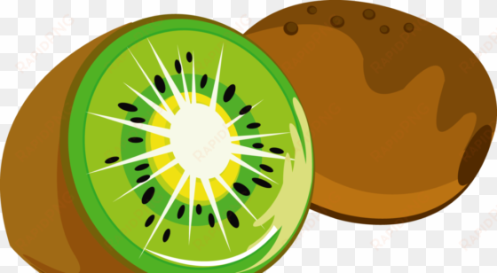 kiwifruit auglis clip art byrd transprent png - kiwi clipart transparent