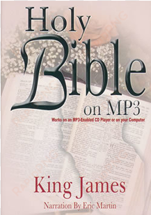 kjv holy bible - book cover