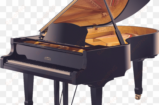 klaver taustata1-520 - - acoustic & digital piano buyer - trade paperback