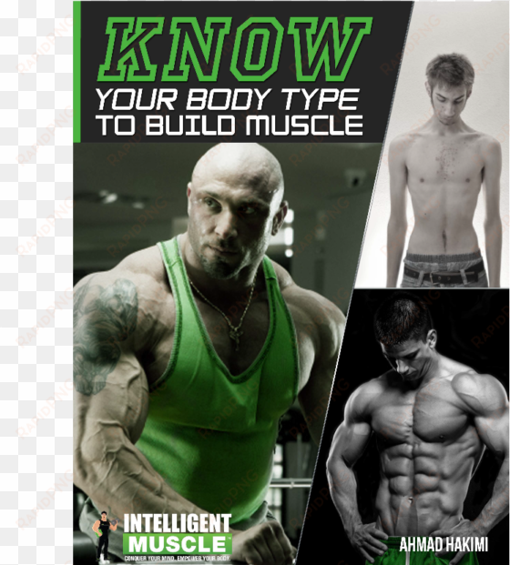 know your bodytype to build muscle - università degli studi niccolò cusano