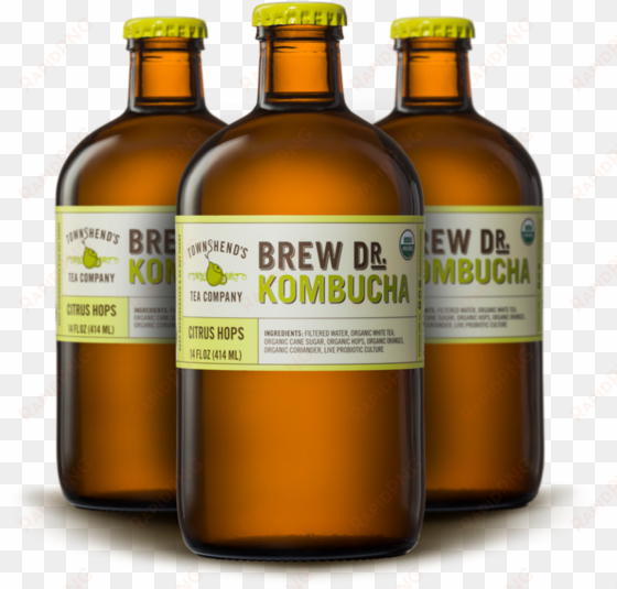 kombucha is one of the sponsors of healthy happy hour - brew dr. kombucha, ginger tumeric, 14 fl oz