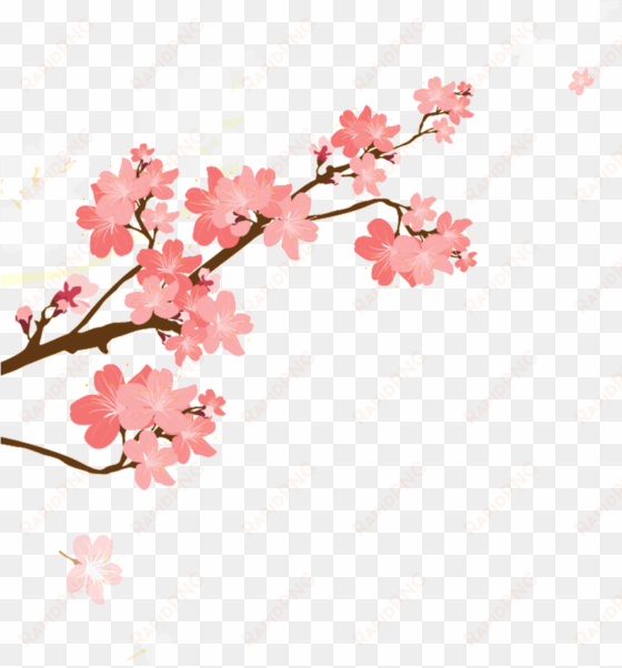 korean style cherry blossom cartoon transparent - cherry blossom
