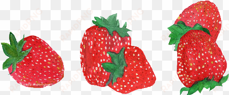 kristen 15 years old oatmeal lover - strawberry png