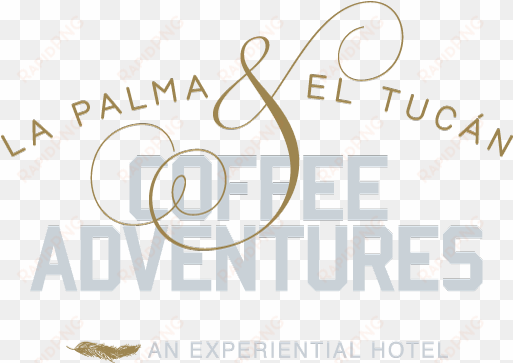 la palma & el tucan coffee adventures is a coffee experience - desert travel magazine