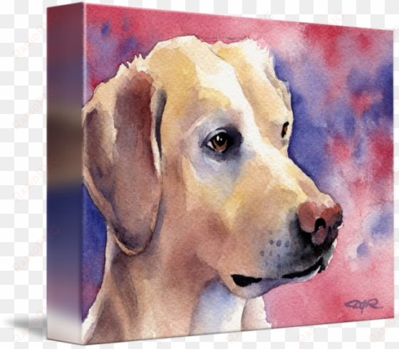 labrador retriever 2 by david rogers - labrador retriever