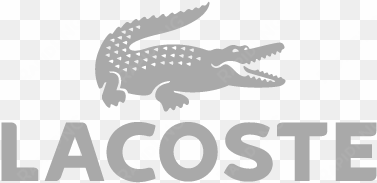 lacoste white logo