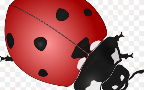 ladybug clip art free vector / 4vector - ladybird black and white