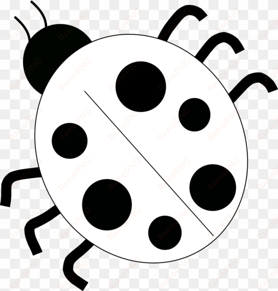 ladybug - drawing - black - and - white - black and - ladybug clip art