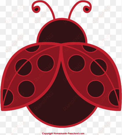 ladybug photos - clip art lady bug