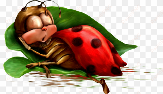 ladybugs clipart garden creature - dreamies gute nacht bilder lustig