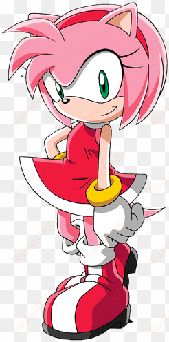 large - amy rose sonic x