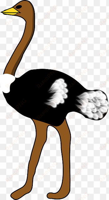 large, cartoon, big, bird, stand, cute, ostrich, animal - ostrich clipart