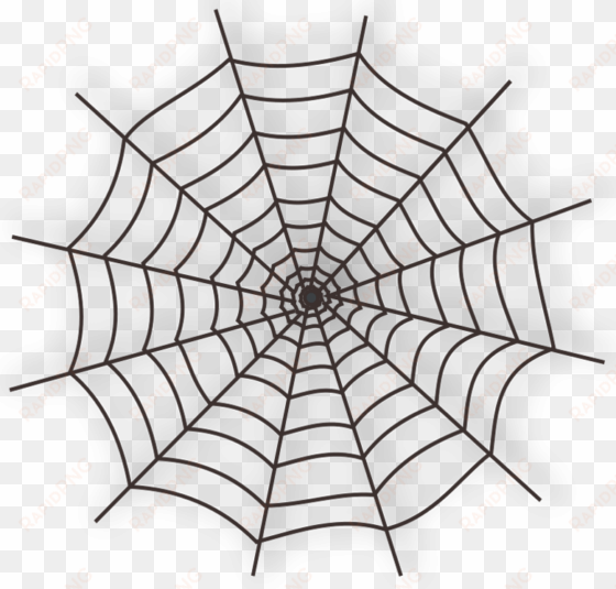 large haunted spider web png clipart - spider web tattoo png