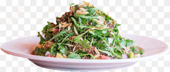 large plate of green salad topped with nuts - food on plate side view png