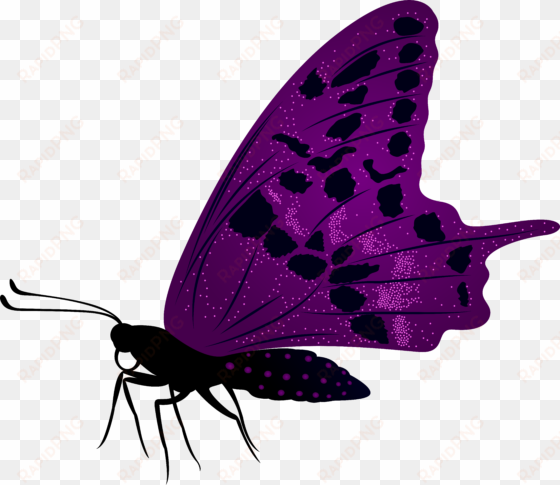 large purple butterfly png clip art imageu200b gallery