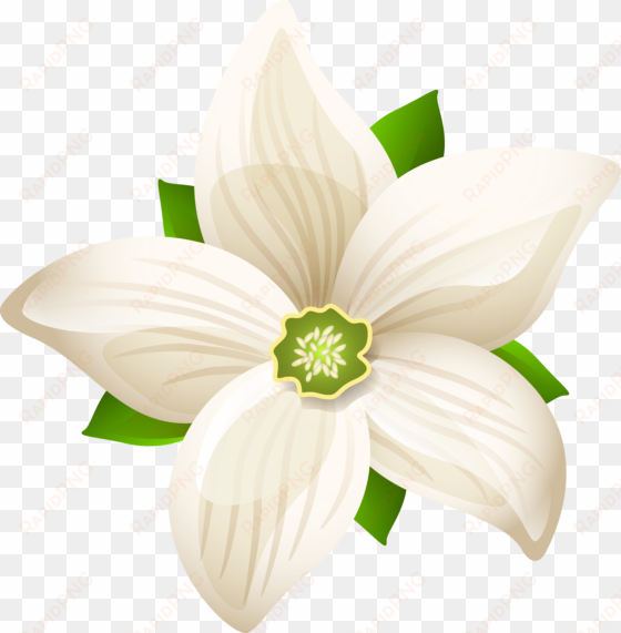large white flower transparent png clip art image