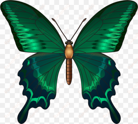 largest collection of free to edit butterfly stickers