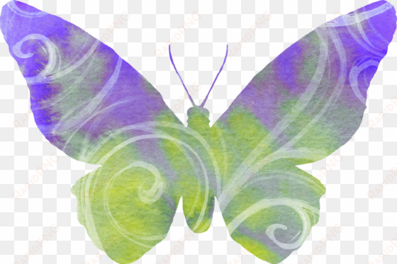 lavender clipart butterfly