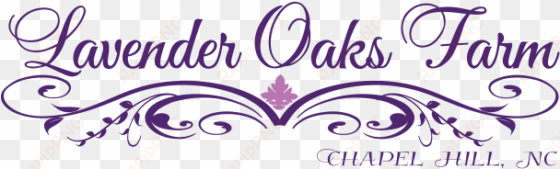 lavender oaks farm chapel hill, - lavender oaks farm
