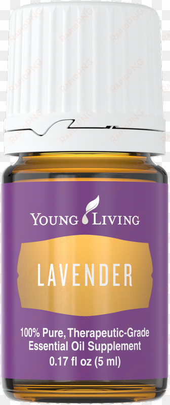 lavender oil - young living lavender transparent