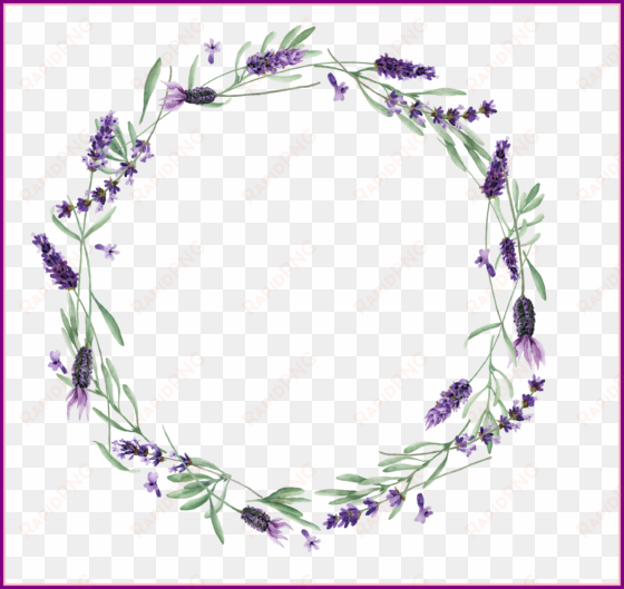 lavender vector royalty free stock huge - lavendar wreath transparent