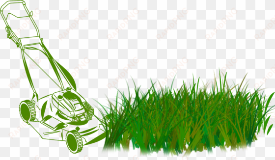 lawn care services - lawn mower
