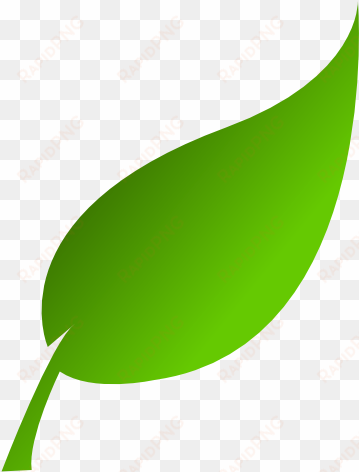 leaf clip art - leaves clip art png