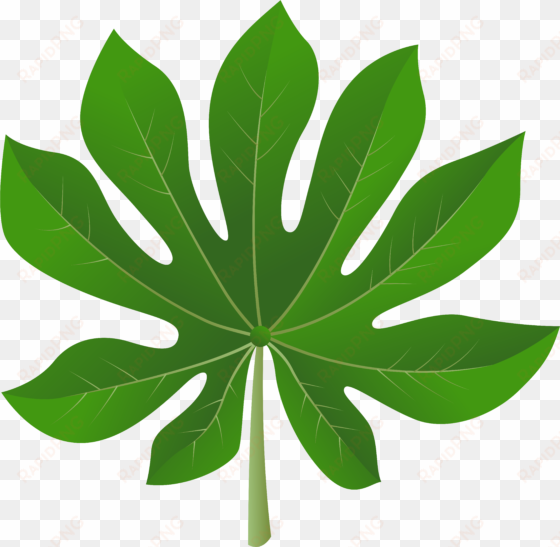 leaf clipart png