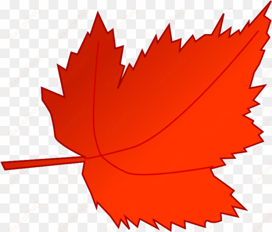 leaf clipart vector - fall leaf clipart