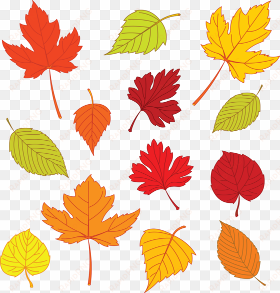 leaf drawing template at getdrawings - autumn leaves clipart