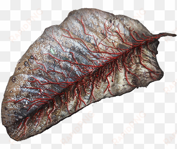 leaf of the bleeding tree icon - flat iron steak