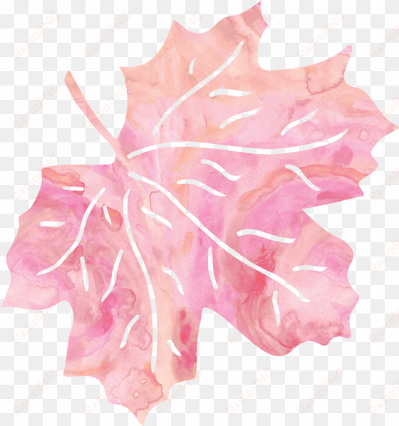 leaf pink petal - pink leaf transparent