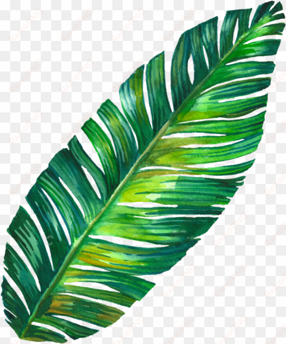 leaf png tumblr - banana leaf tumblr png