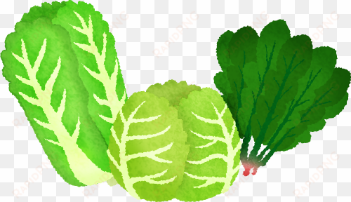 leafy vegetables - green leafy vegetables clipart