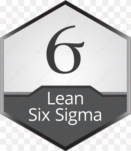 lean six sigma black belt training - lean six sigma black belt logo