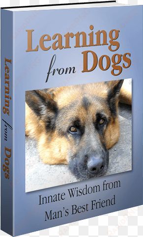 learning from dogs - learning from dogs: innate wisdom from man's best friend