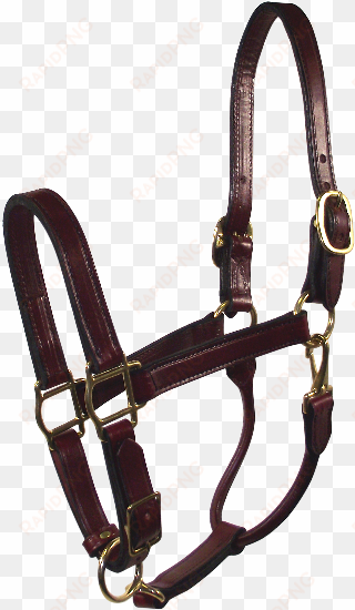 leather tack products - halter