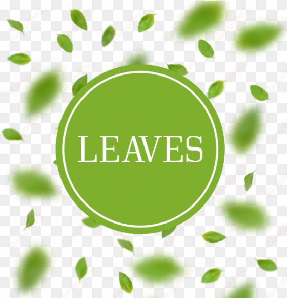 leaves arrangement background with blur leaves, leaves, - leaf