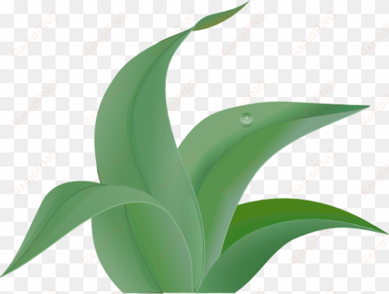 leaves clip art at clker com vector - jungle leaf clipart
