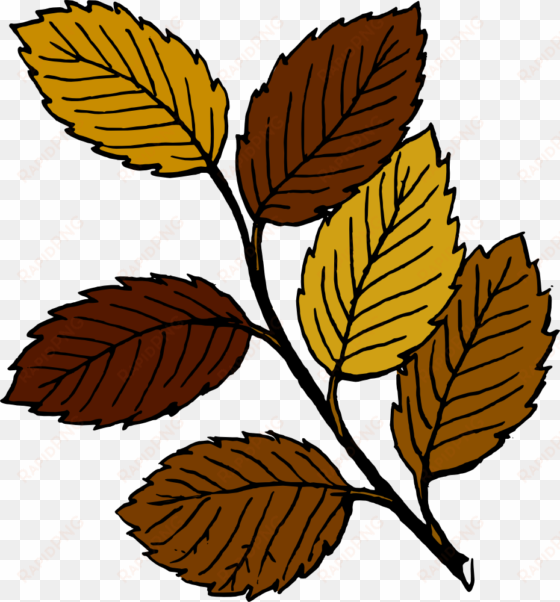 leaves clipart brown leaf pencil and in color leaves - dead leaves clip art