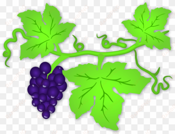 leaves of grapes clipart