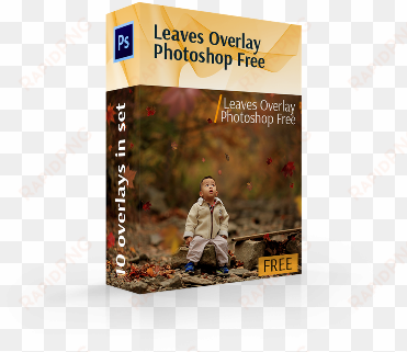 leaves overlay photoshop free cover box - herbst-farben, dankbares foto kissen