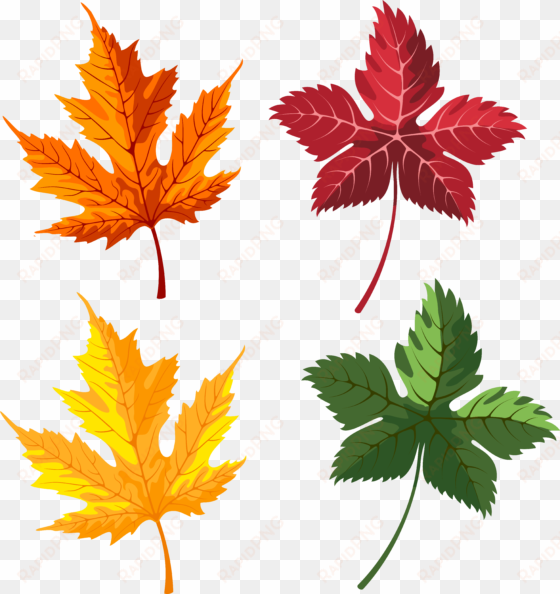 leaves png image gallery yopriceville high view - maple leaf