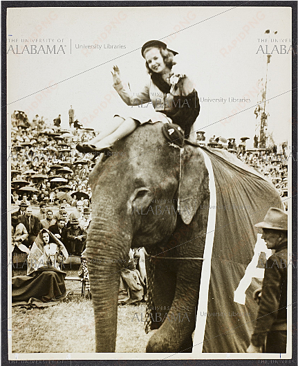 lee corso riding an elephant