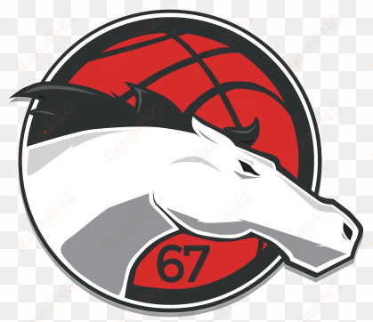 leicester riders vs - leicester riders champions league