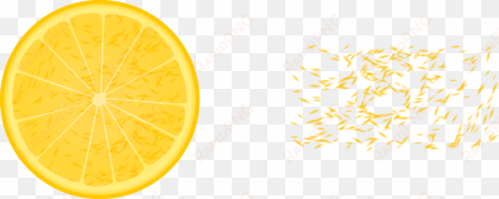 lemon, citron, citrus, food, fruit, orange, slice - orange slice png transparent