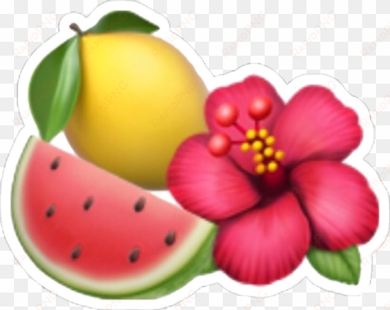 Lemon Watermelon Emoji Tumblr Tropical Iphoneemoji - Emoji De Una Flor transparent png image