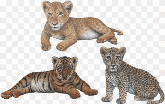 leopard transparent jungle animals - lion cub wall decal, home decor decals,