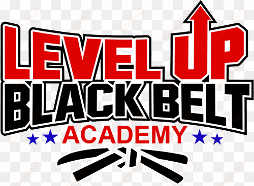 level up black belt academy