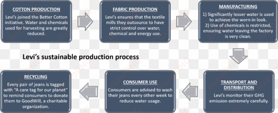 levis - master data management organisation